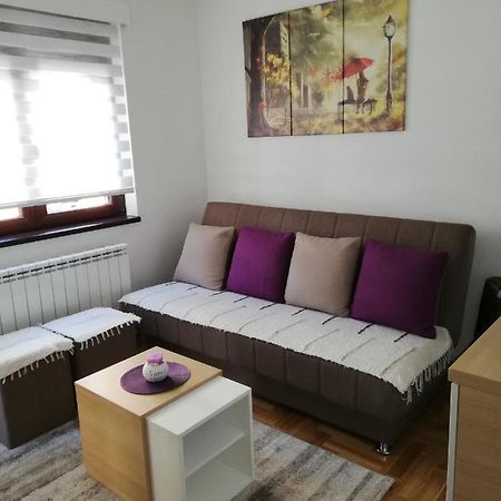 Apartman Milosevic Zlatibor Bagian luar foto