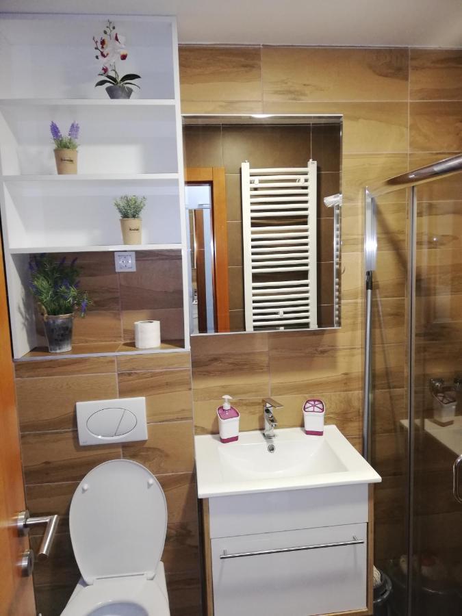Apartman Milosevic Zlatibor Bagian luar foto
