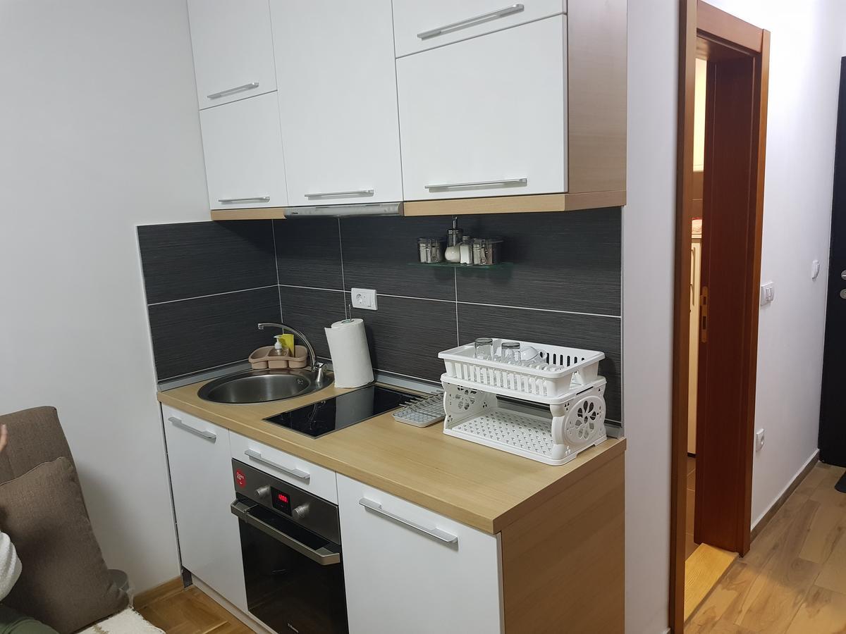 Apartman Milosevic Zlatibor Bagian luar foto